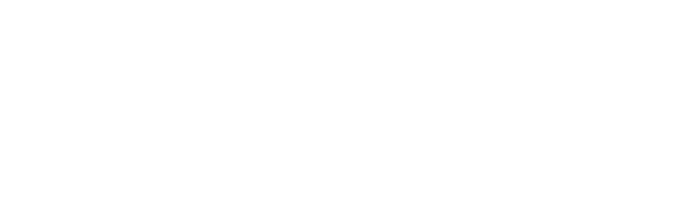 ChargeIQ Logo
